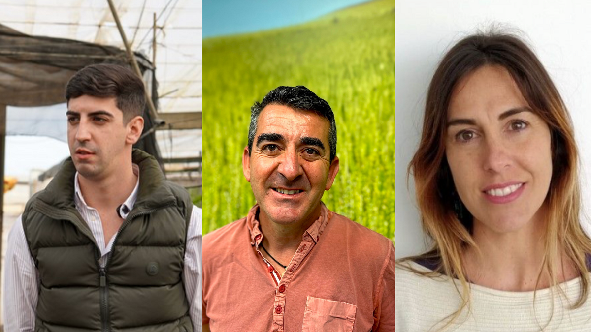 Razones para tener setos vegetales en los invernaderos y multiplicar el éxito del control biológico de plagas